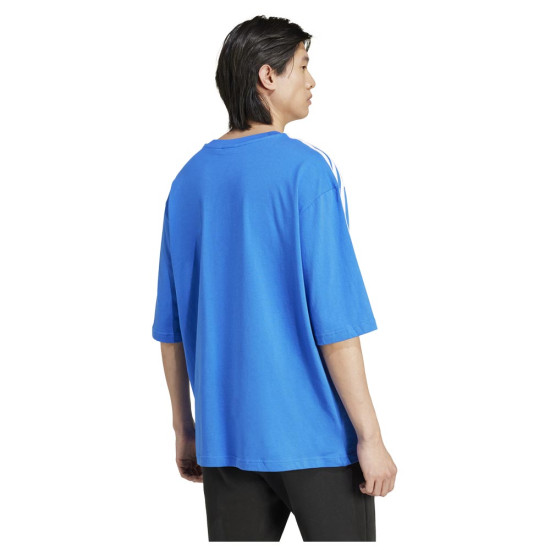Adidas Ανδρική κοντομάνικη μπλούζα Adicolor Oversized Tee